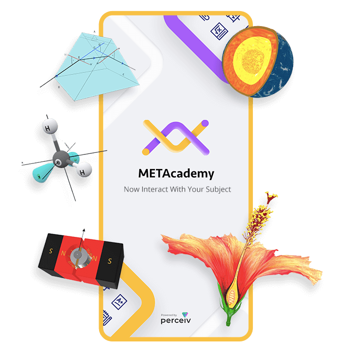 Metacademy perceived